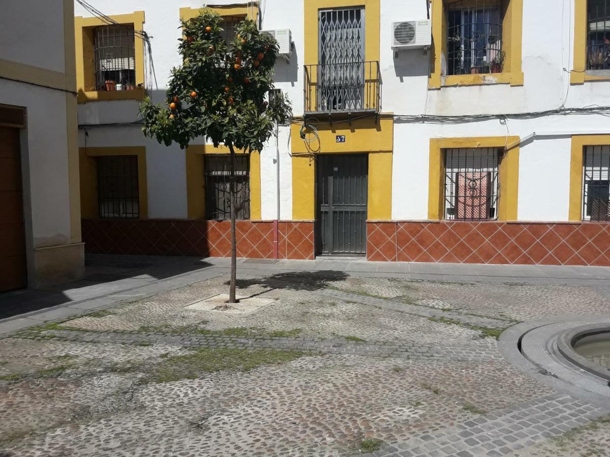 Resting In A Typical District Near Everything Apartamento Córdoba