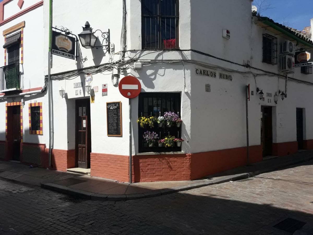 Apartamento Resting In A Typical District Near Everything Córdoba
